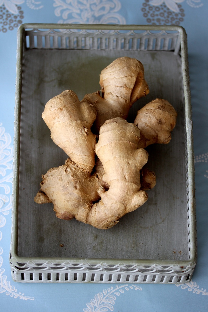 Ginger Beer Ginger Beer | IMG_6657.jpg