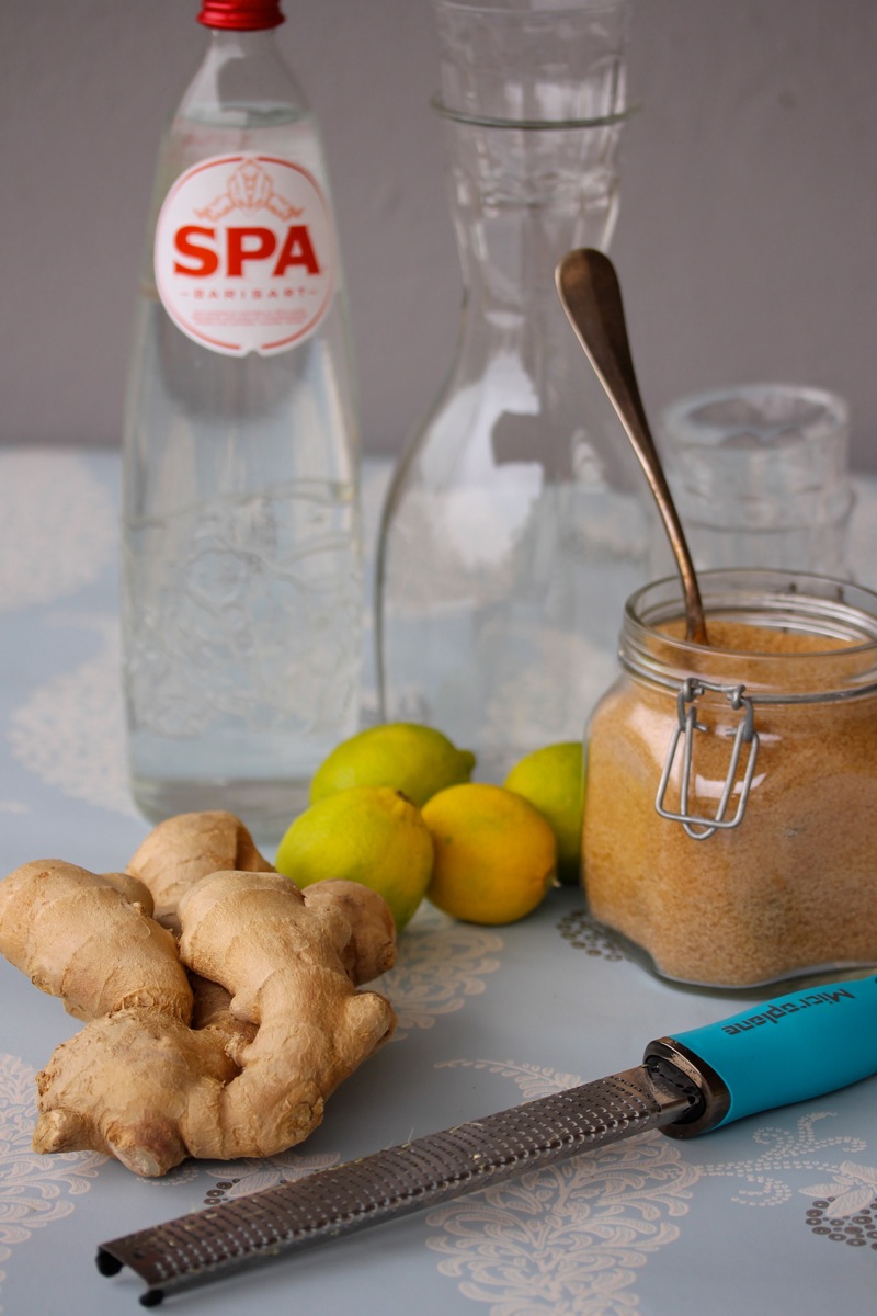 Ginger Beer Ginger Beer | IMG_6668.jpg