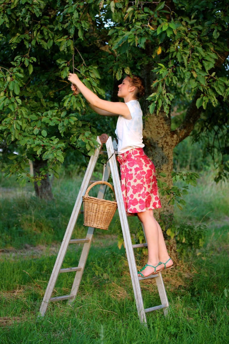                   Clafoutis aux Cerises | IMG_7694%20Kopie.jpg