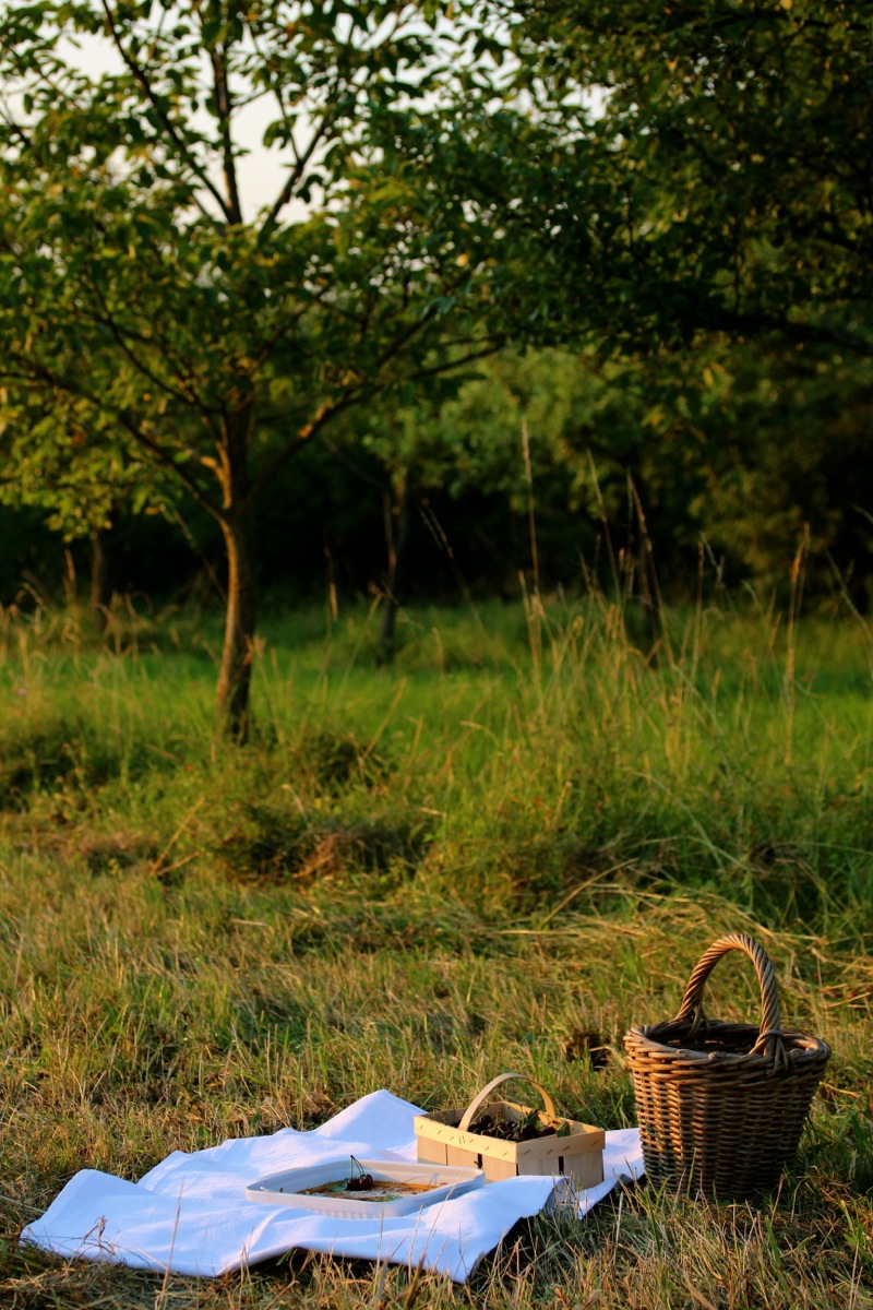                    Clafoutis aux Cerises | IMG_7735.jpg