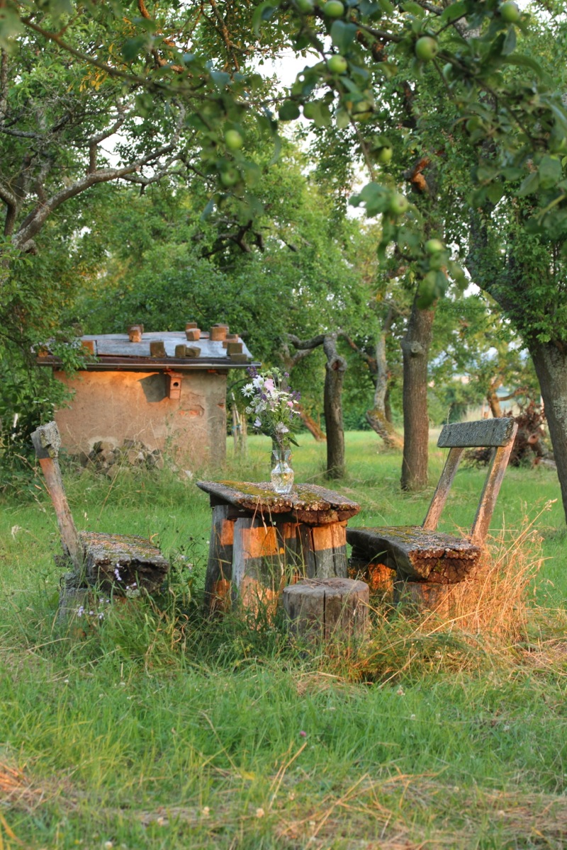                    Clafoutis aux Cerises | IMG_7766.jpg