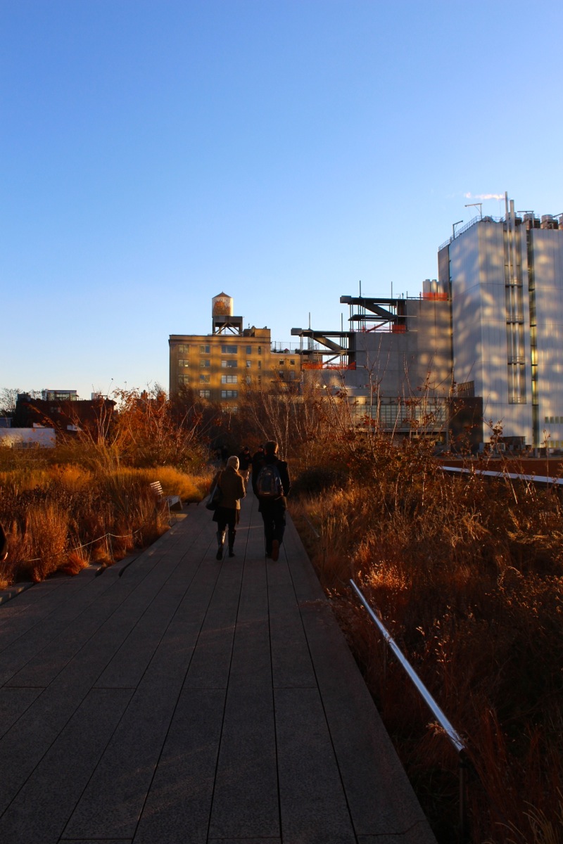 New York Spicy Pumpkin Cake | IMG_0282.jpg