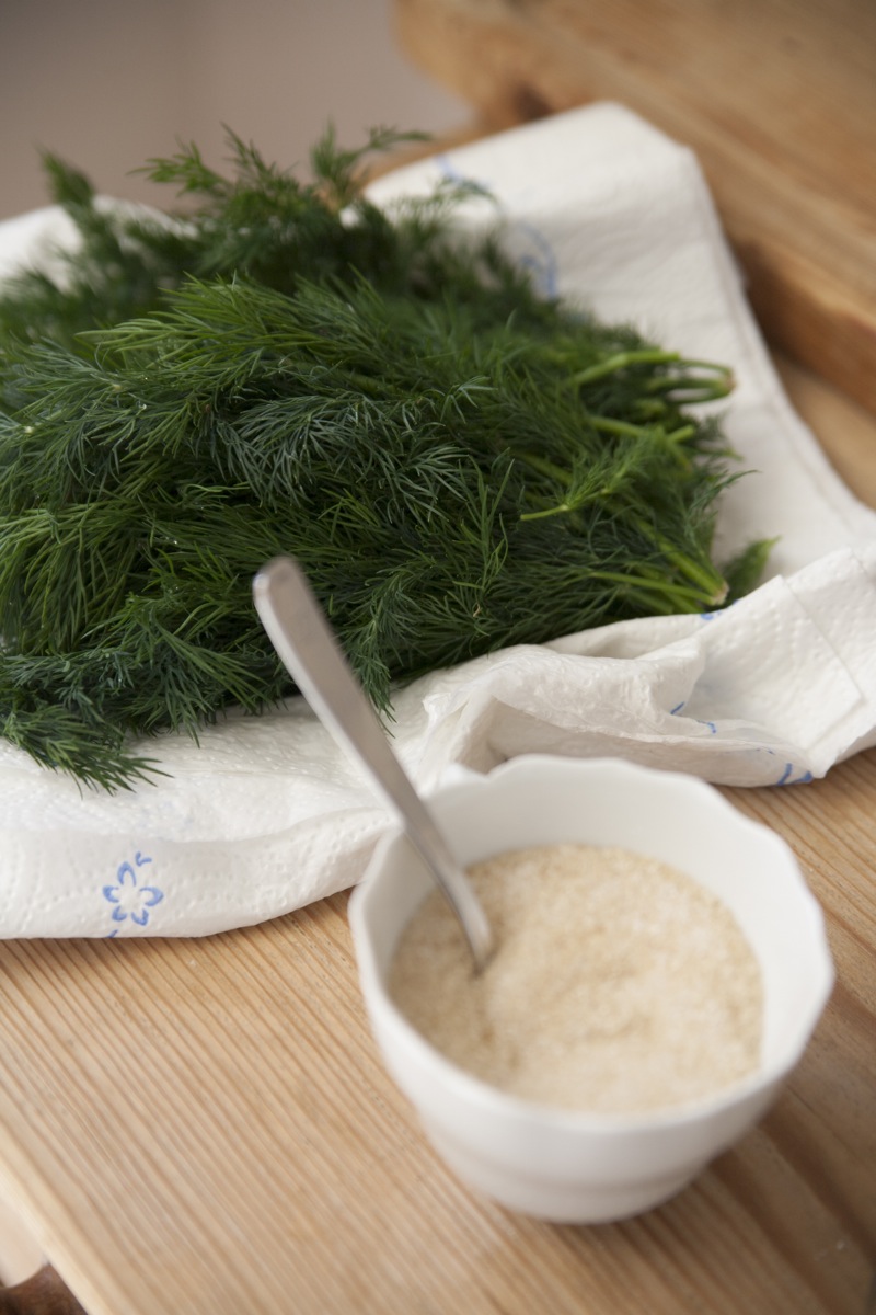 Theresas Küche - Gebeizter Lachs mit Dill-Senfsoße