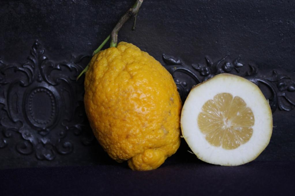 Winter Lemon Cakes | IMG_8166.JPG