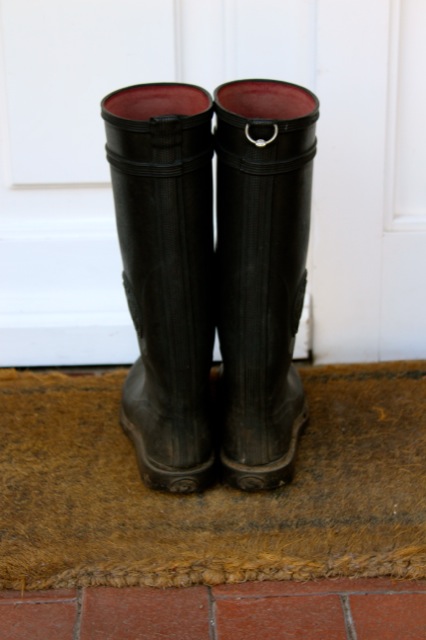 Süßer Baiser küsst sauren Rhabarber | Gummistiefel.jpg