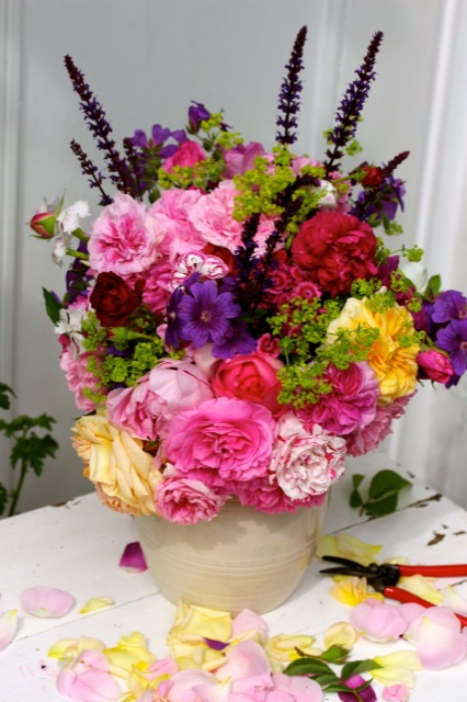 Zuckerblüten Zuckerblüten | IMG_6588.jpg