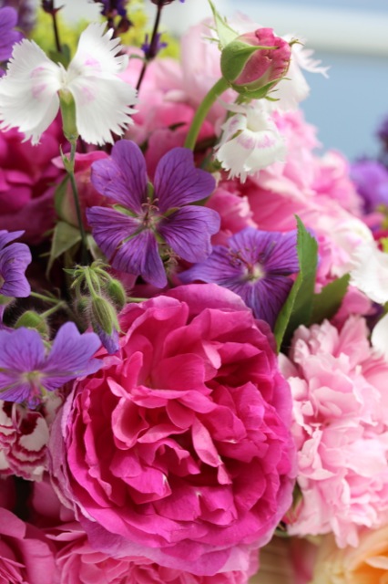 Zuckerblüten Zuckerblüten | IMG_6610.jpg