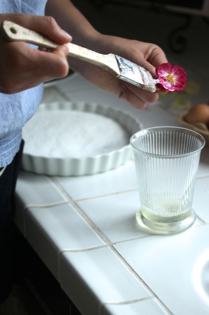 Zuckerblüten Zuckerblüten | IMG_6775.jpg