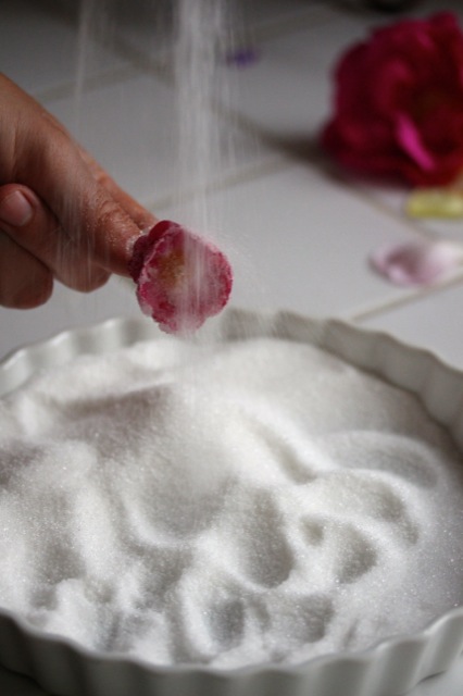 Zuckerblüten Zuckerblüten | IMG_6785.jpg