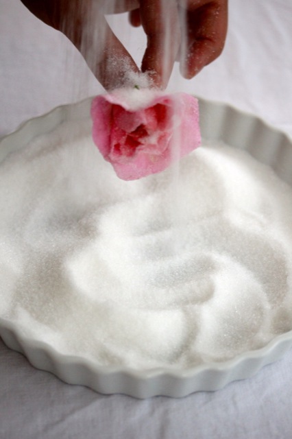 Zuckerblüten Zuckerblüten | IMG_6801.jpg