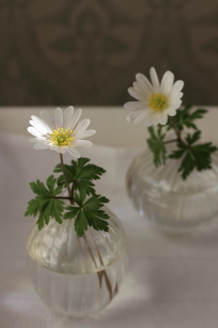 Camembert-Ziegenkäse-Tarte | Windbuschroschen.jpg