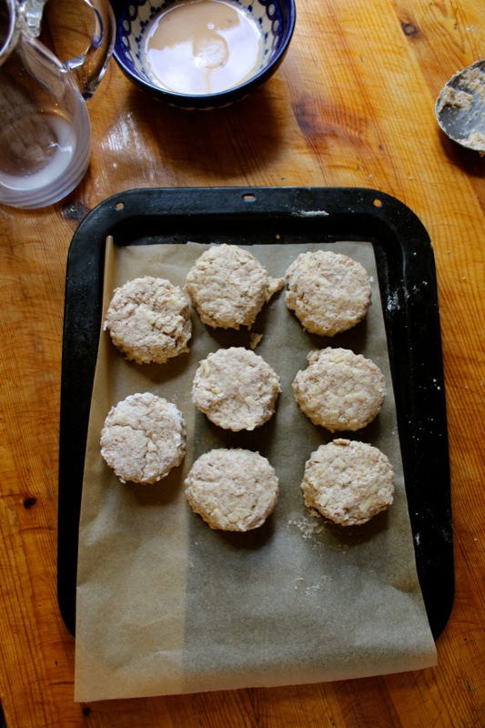 Cheese Scones Cheese Scones | IMG_4251.jpg