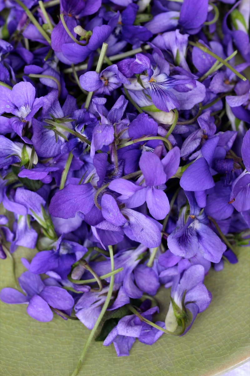 Mandelherzen mit kandierten Veilchen Mandelherzen mit kandierten Veilchen | IMG_5821.jpg