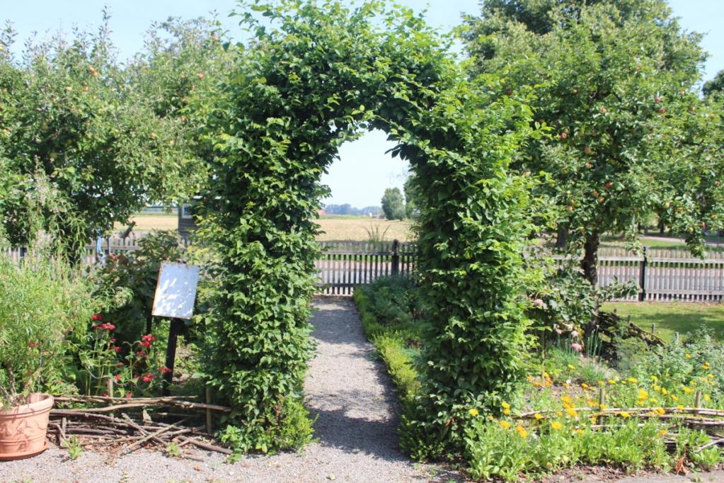 Kräuterrolle mit Blüten aus dem Küchengarten | IMG_1068.JPG