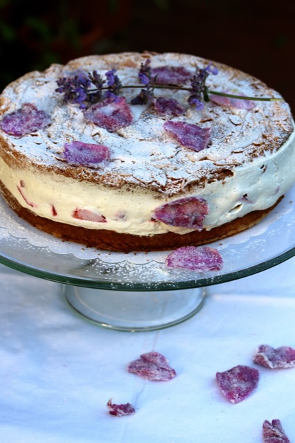Die Erdbeertorte aus meinem Rosencafé Die Erdbeertorte aus meinem Rosencafé | IMG_5582.jpg