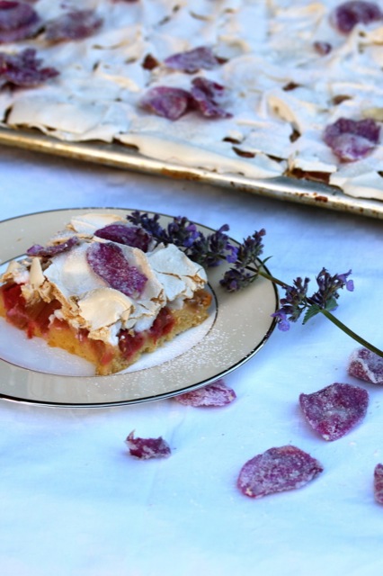 Die Erdbeertorte aus meinem Rosencafé Die Erdbeertorte aus meinem Rosencafé | IMG_5591.jpg