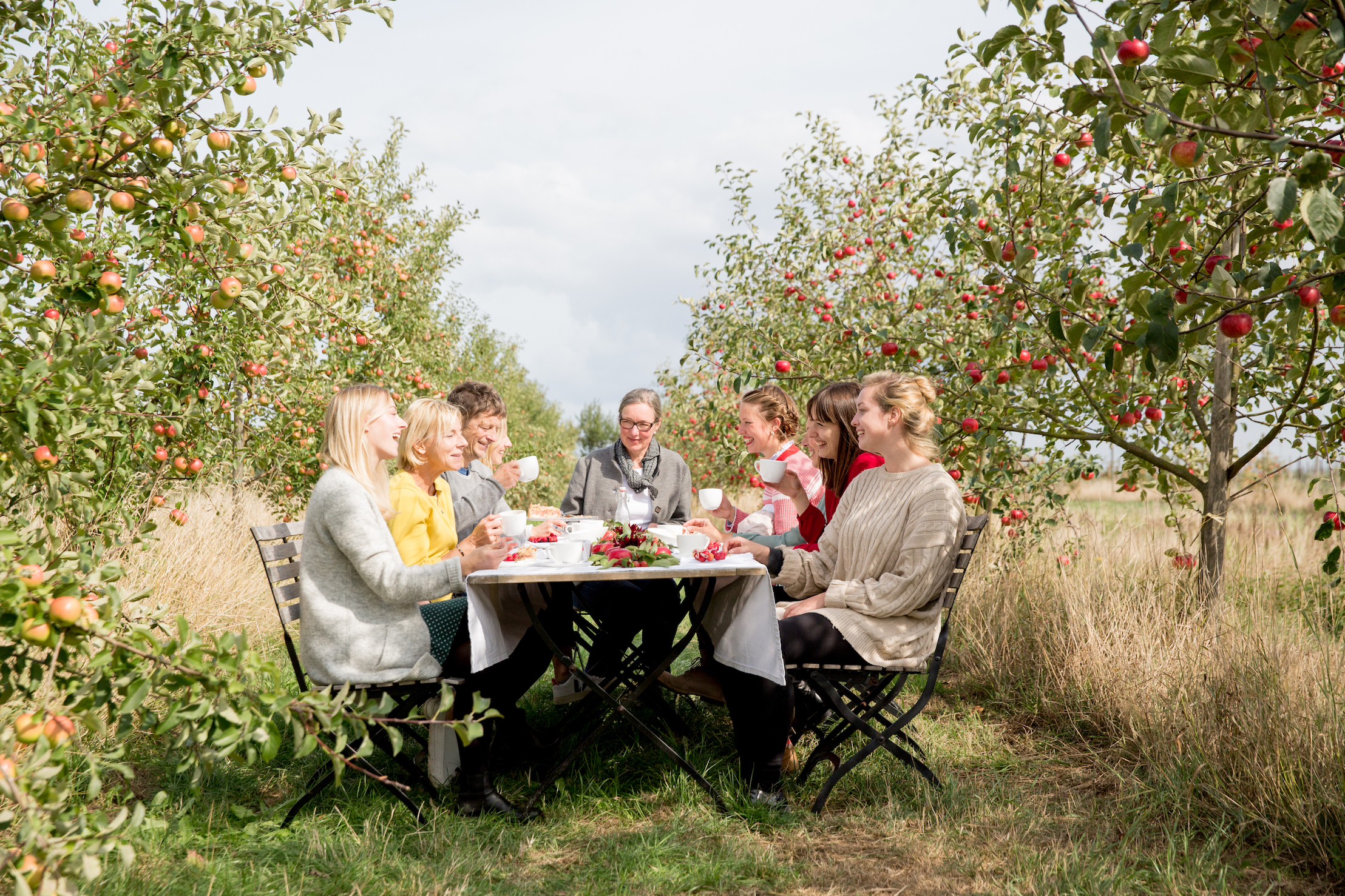 Theresas Küche - Apfelkuchen mit Pudding und Mandelstreuseln
