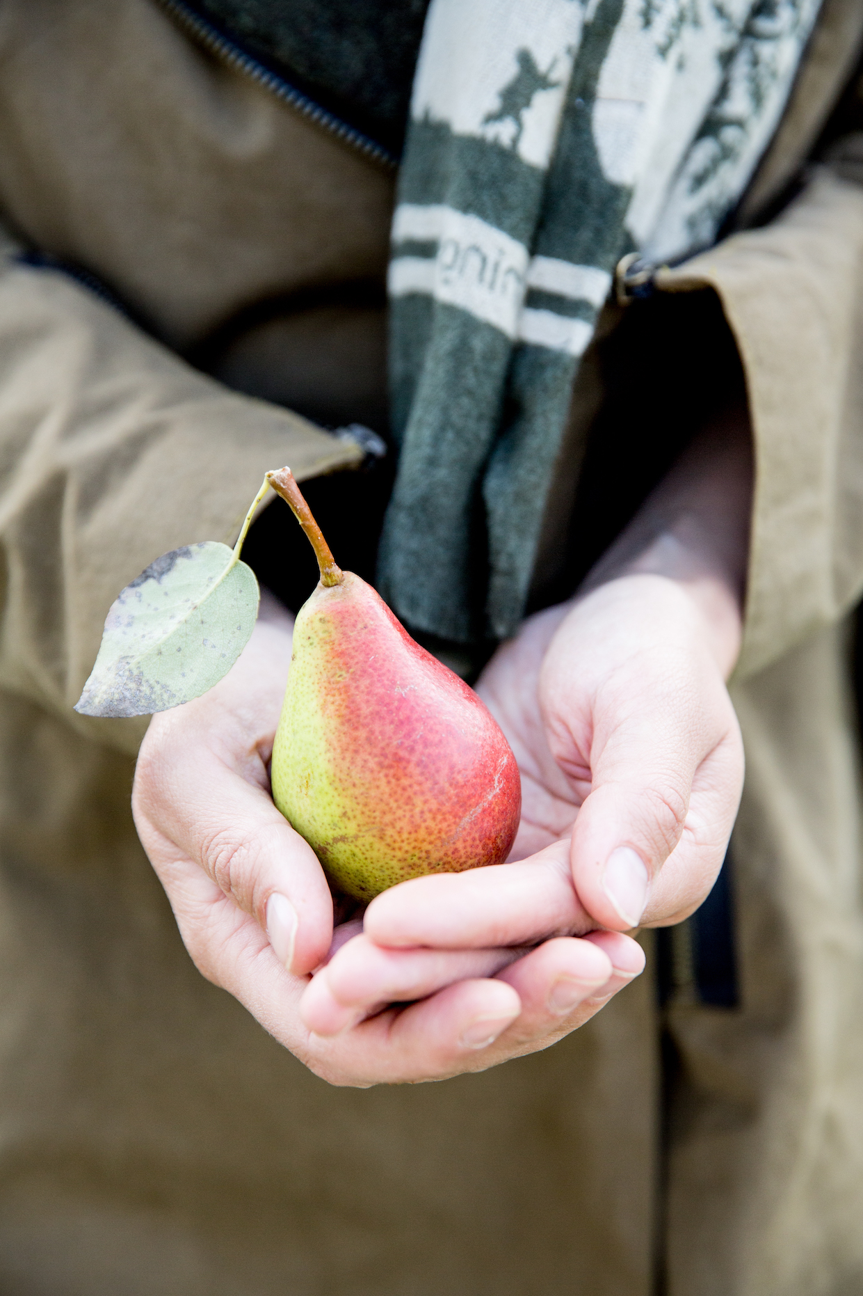 Birnen, Bohnen & Speck Birnen, Bohnen & Speck | K85B3436.jpg