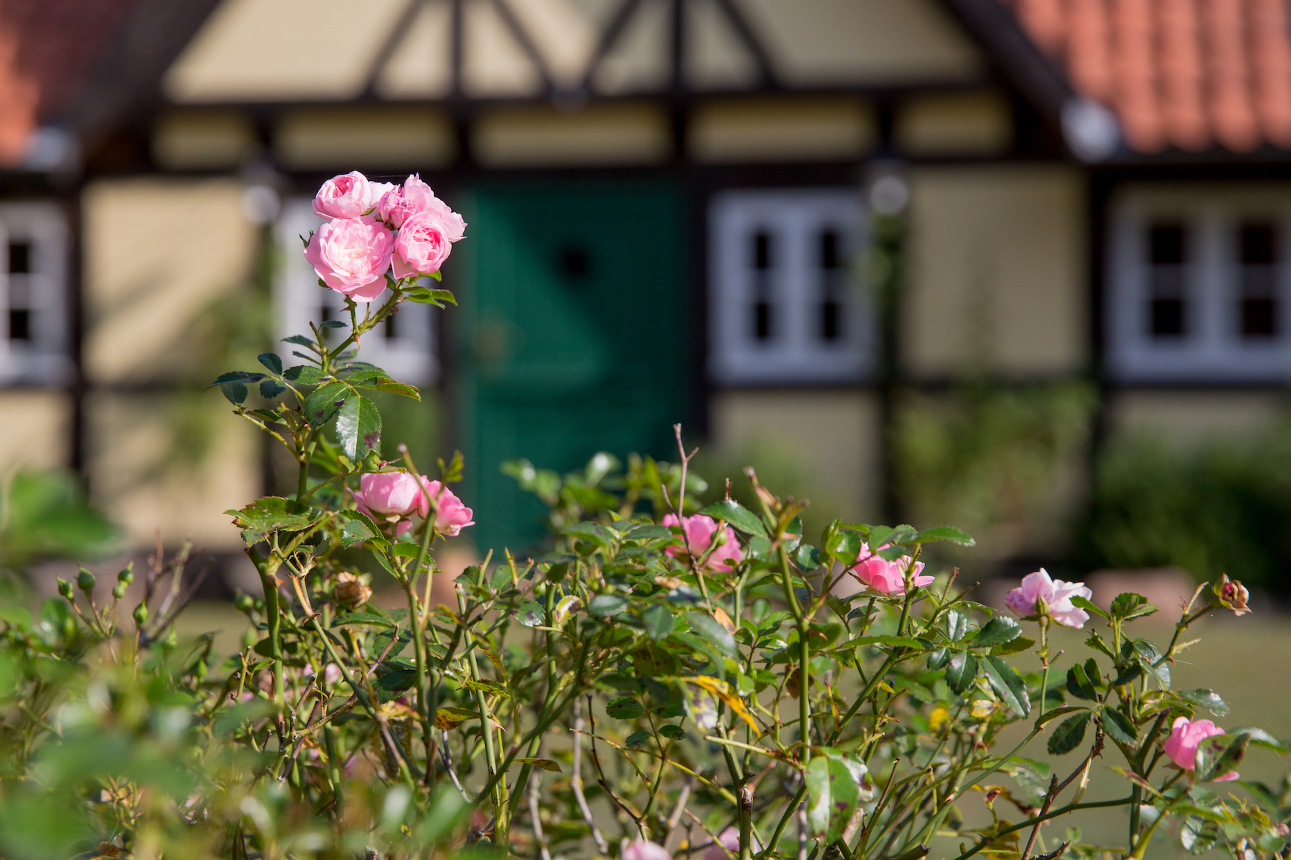Kartoffelsuppe mit karamellisiertem Apfel und Petersilienschmand | K85B2925.jpg